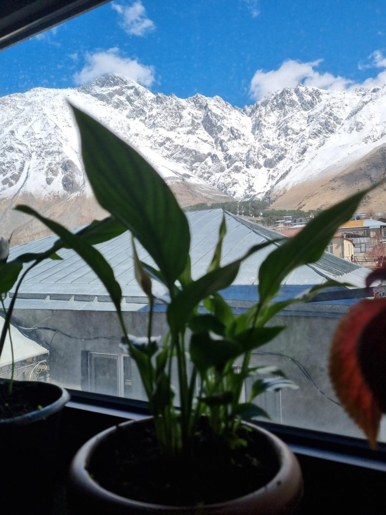 Hotel Sweet Night Kazbegi Bagian luar foto